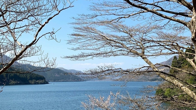 【朝食付】芦ノ湖を眺める爽やかご朝食付きプラン♪地産地消セレクト！＊アレルギー対応はできかねますが…